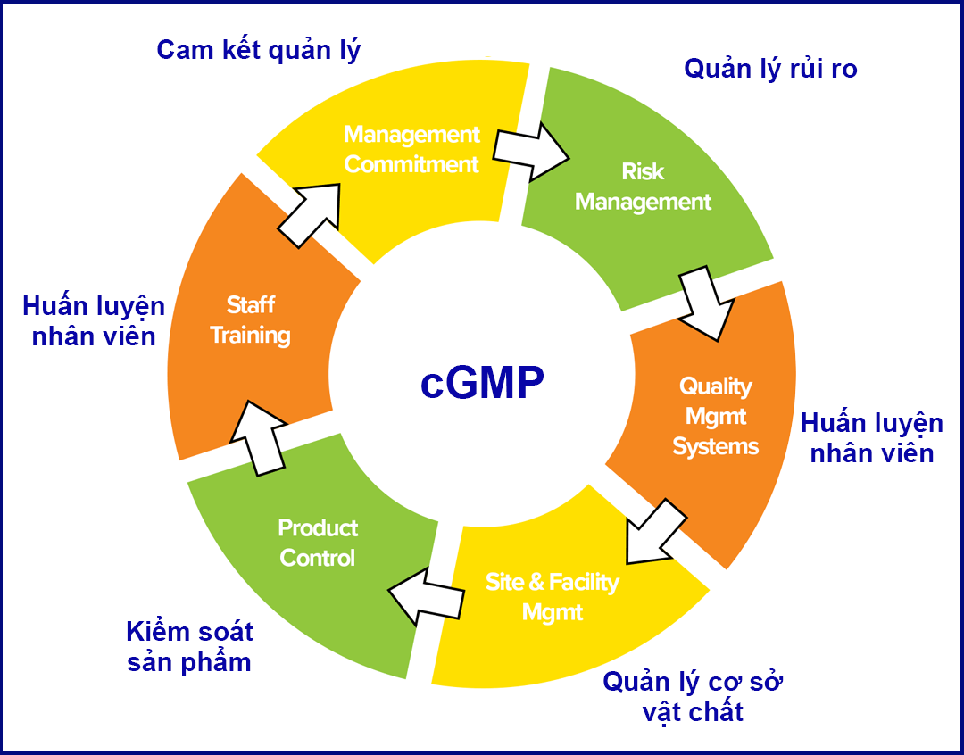 cGMP là gì