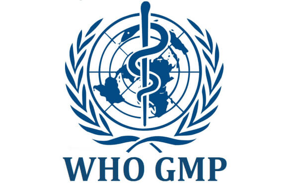 Tiêu chuẩn GMP - WHO