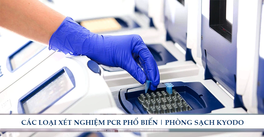 Các loại xét nghiệm PCR phổ biến