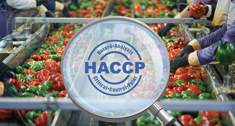 Xây dựng hệ thống HACCP trong quy trình sản xuất