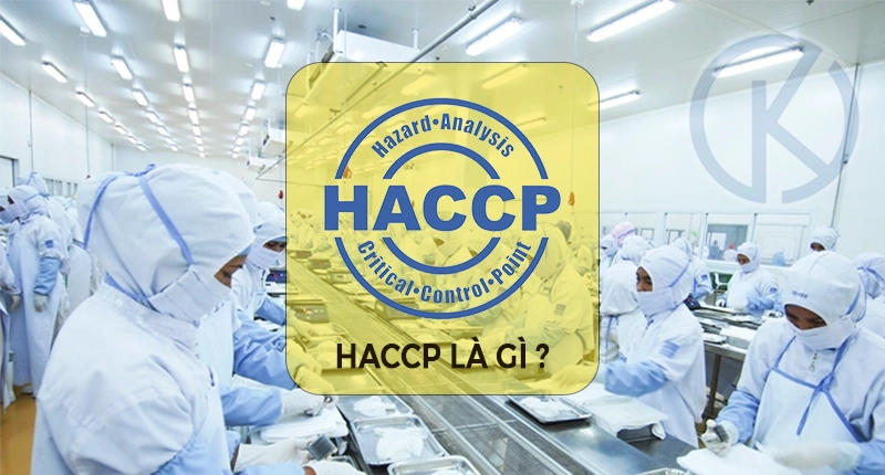 HACCP THỰC PHẨM