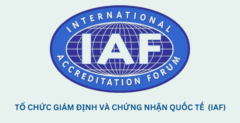 IAF là gì? Tìm hiểu Tổ chức Giám định và Chứng nhận Quốc tế