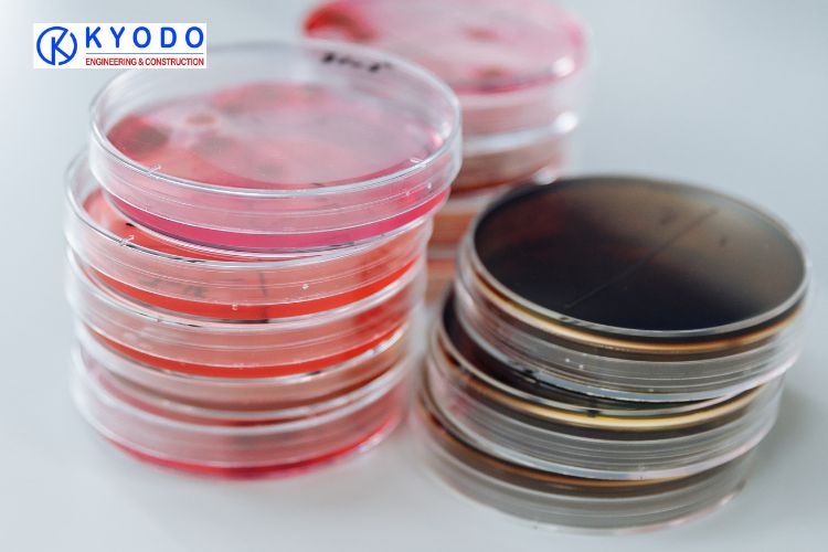 Sử dụng đĩa petri trong giám sát vi sinh