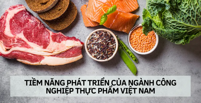 Tiềm năng phát triển của ngành công nghiệp thực phẩm Việt Nam