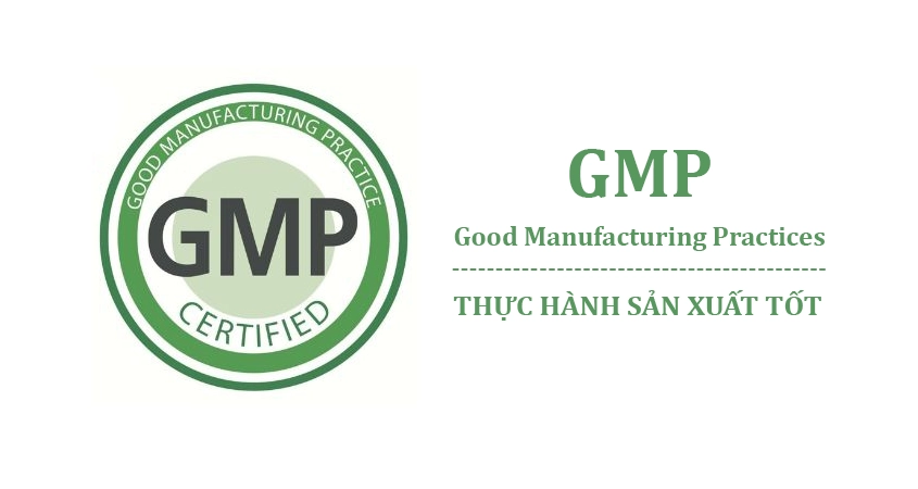 GMP (Good Manufacturing Practices)
